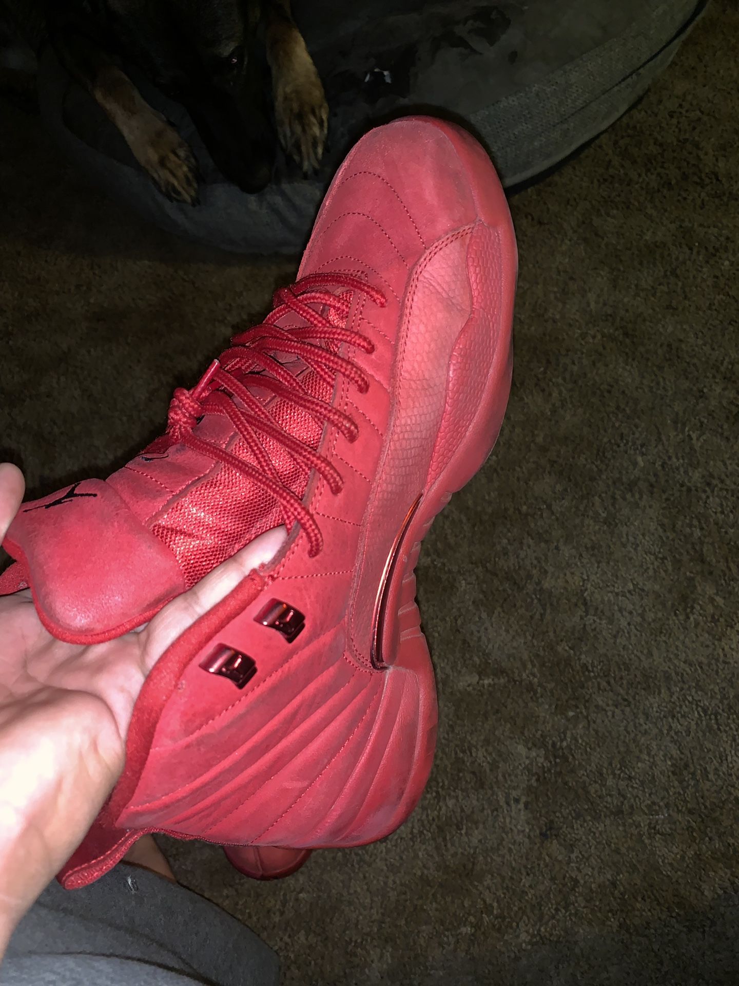 Size 12, Jordan 12s