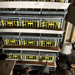 Jaula Para Godornisas