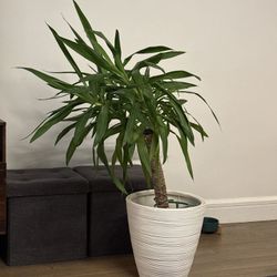 Moving Sale Everything must go! 