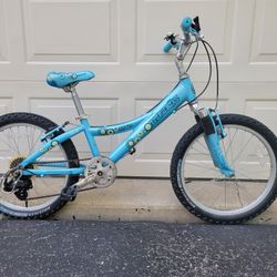 Trek MT60 20 inch Mountain Bike for Sale in Ontarioville, IL - OfferUp