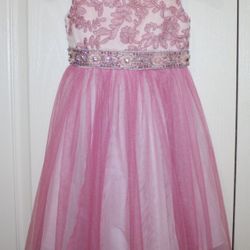 LIKE NEW Little Girl 4T RARE EDITIONS Dillards Pink Lace Rhinestone Tulle Easter Dress