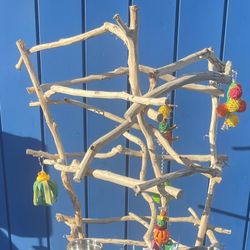 Birdee Must Have!!  Parrot Perch Tree -! African grey / Amazon … Breeder Direct . Each Unique!! ❤️