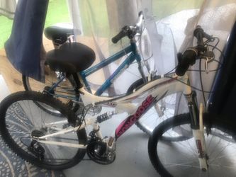 2 Mountain Bikes 