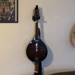 Electric Beautiful Mandolin
