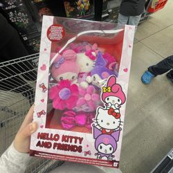 Hello Kitty And Friends Valentines Day Flower Bouquet 