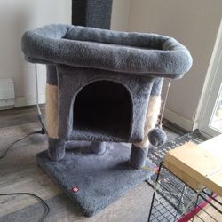 Used Cat Tree and Scratcher