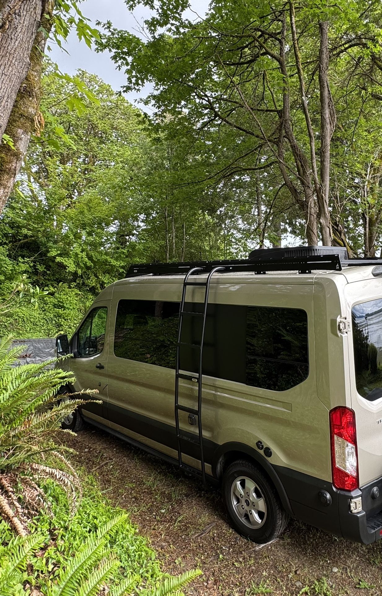 2019 Ford Transit