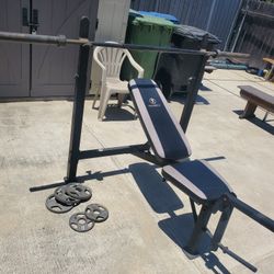 Bench Press With Bar And Weights 