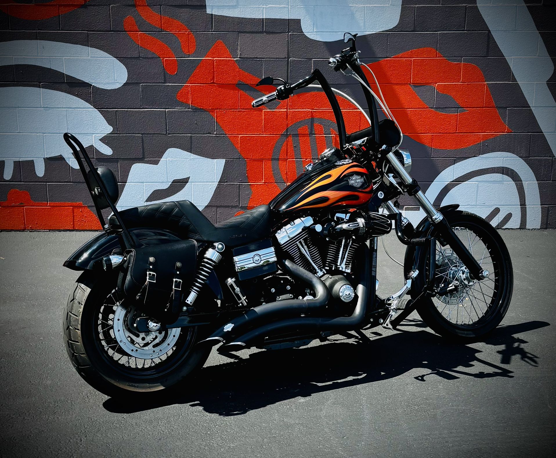 2010 Harley Davidson FXDWG