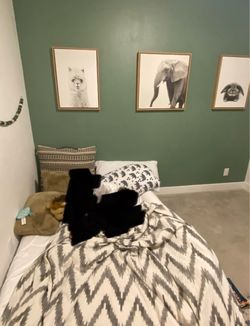 Set of 3 Animal Print Wall Art