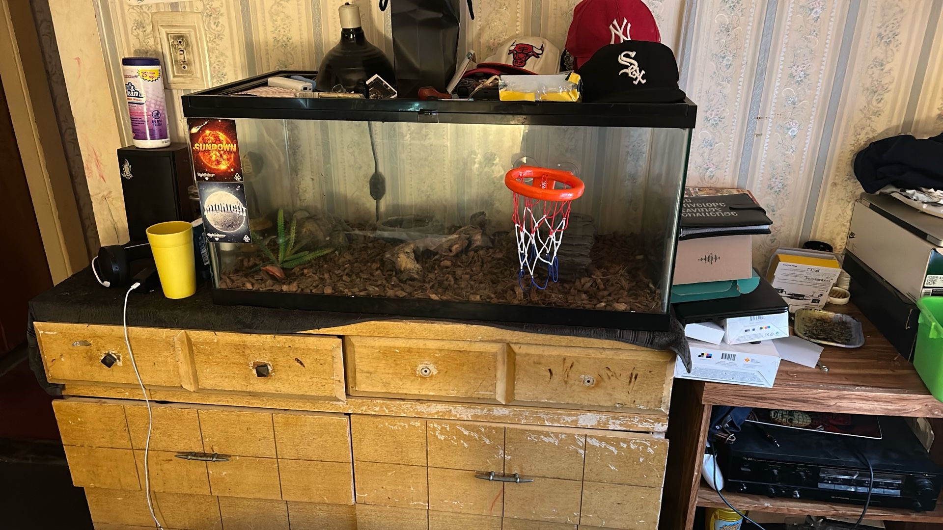 Snake Or Any Type Of Animal Tank