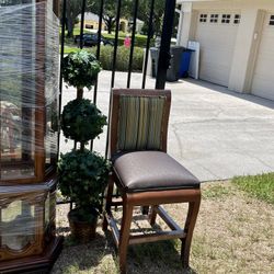 Very Nice Plant Or Chair 