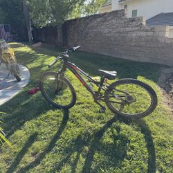 24" GT Mountain bike