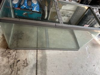 60 Gallon tank