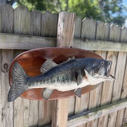Mounted Largemouth Bass on Wood Plaque – Classic Fishing Decor