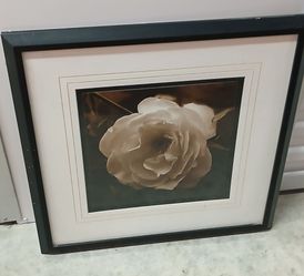 Vintage White Rose Wall Art (22"x22") From Garden Ridge 
Good Condition
 $10 Pick up Mckinney