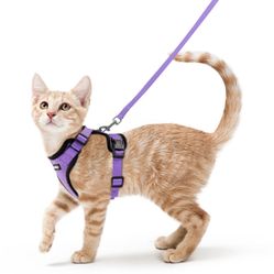 Harness and Leash Small