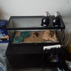 Reptile Tank