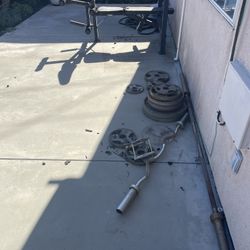 Bench + Barbell + 245 lb Weights