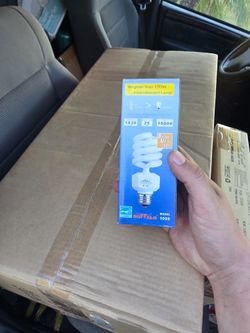 25 Watt CFL Lightbulbs Florescent