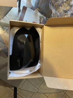 Door Mirror Covers & Blinker light