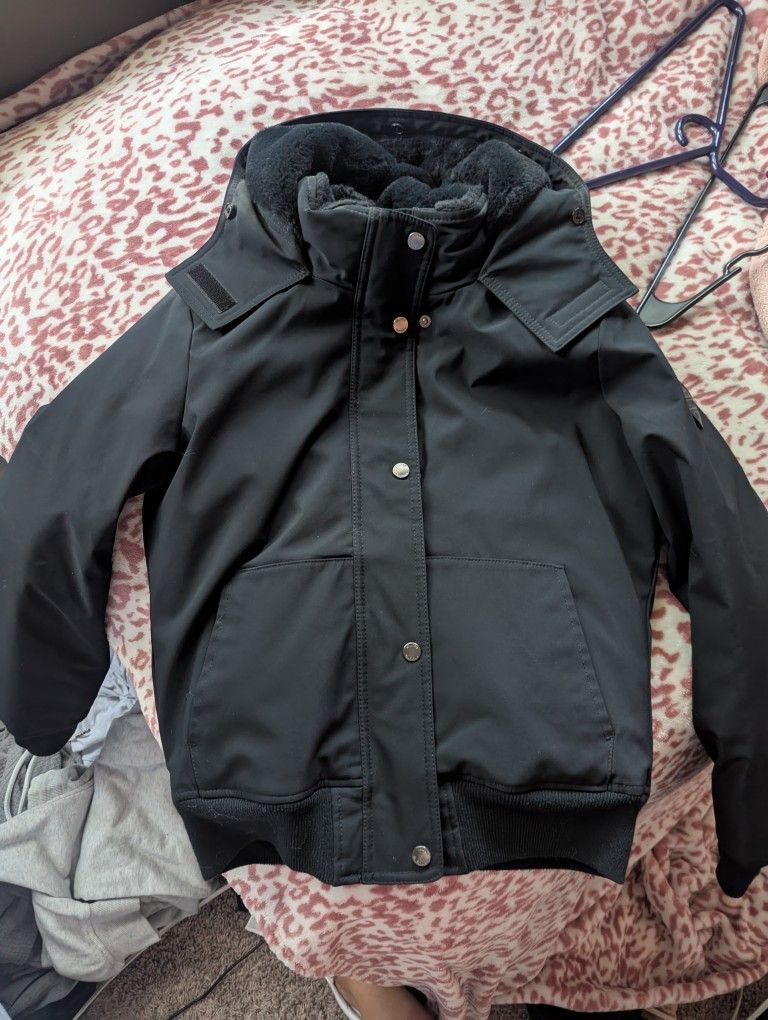 Hollister Jacket