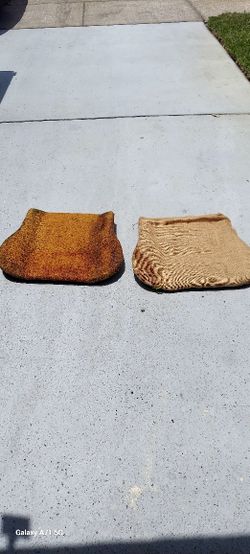 VW Bug Coconuts Seat Cushion