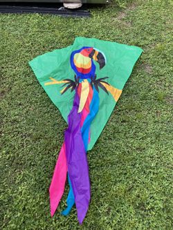 Kite 43 W X 45h Parrot