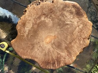 Live Edge Maple Burl Finished Slab !! 