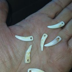 🦈 sharks tooth beads...