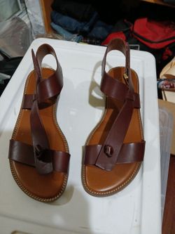 Frank Sarto  61/2