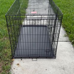 LG Dog Cage