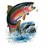 Trout CRAZY