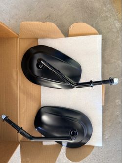 2022 HD Sportster Iron 883XL original mirrors