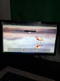 Samsung Monitor