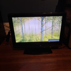 Sylvania LC195SSX 19” HDTV LCD HDMI 720p