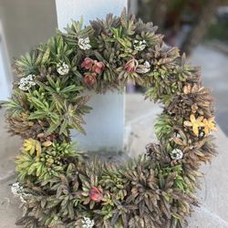One Of A Kind kalanchoe Succulent Wreath