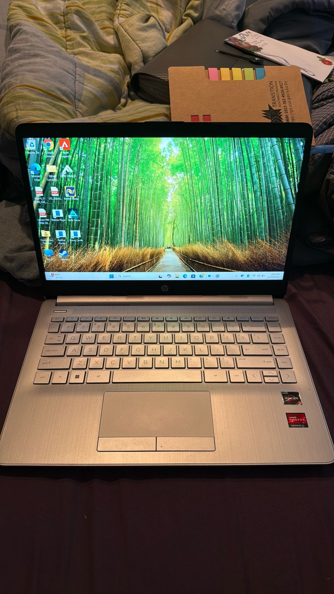 Silver Hp Laptop