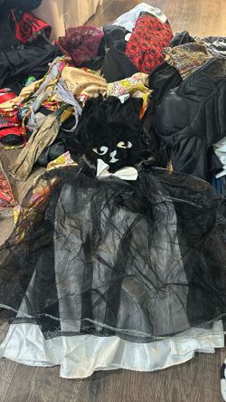 Cat Dress