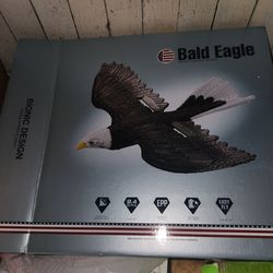 Rc Bald Eagle Glider