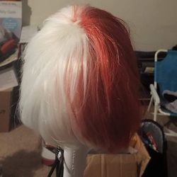 Anime Cosplay Wig 