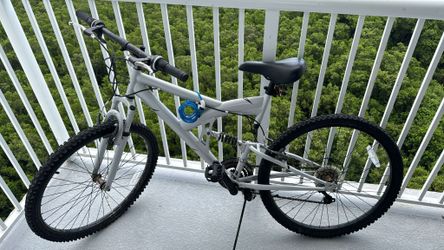 Bicicleta Gris Grande 