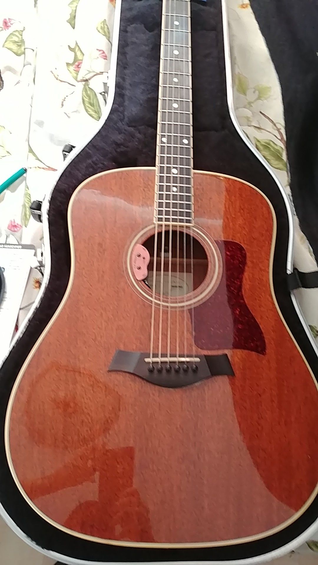 310 M Taylor 25th anniversary guitar