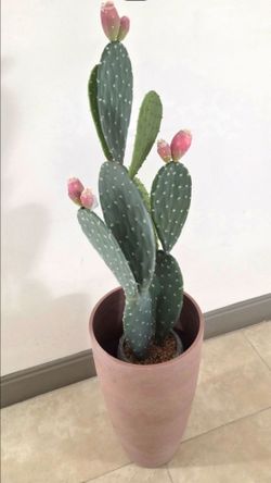 *** NEW LOW PRICE *** 41" Faux Cactus in a 21" Light Pink Resin Planter @ Lasting Creations