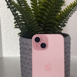 iPhone 15 Pink