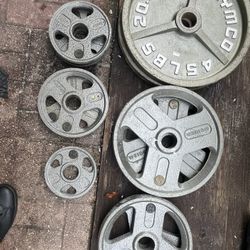 Gym Equipment 