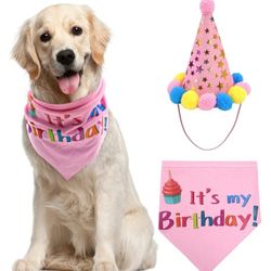 Dog It's My Birthday Bandana And Hat. New