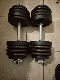 60lbs Dumbells Weights