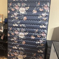 Twin size mattress and box spring