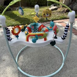 LIKE NEW! Fisher-Price Baby Jumper/Bouncer 